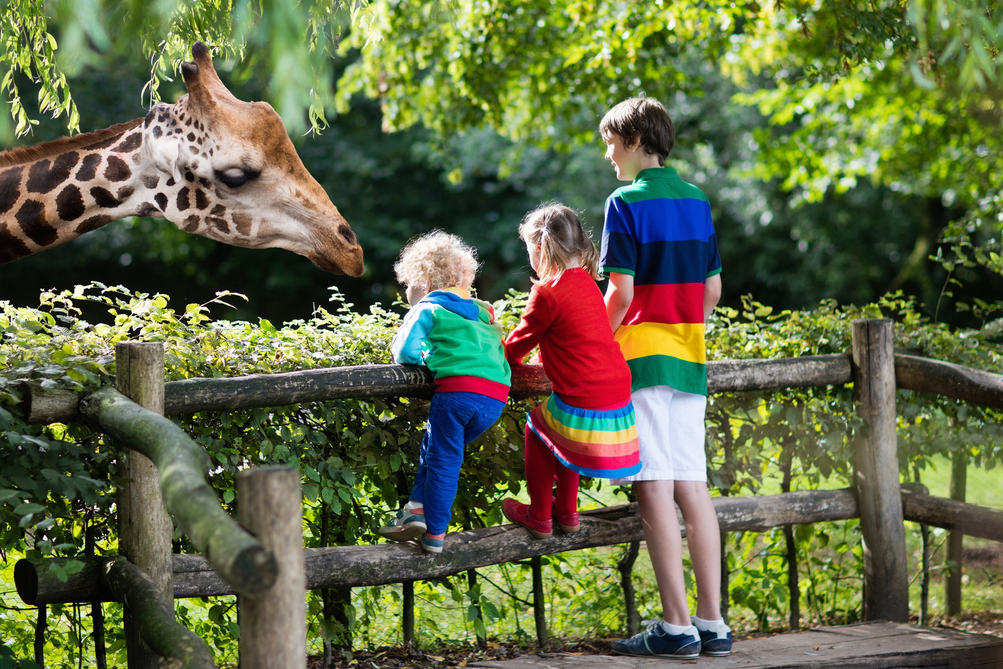 Obisk živalskega vrta